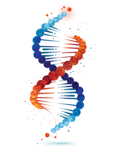 The Vertical AI logo